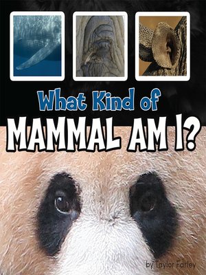 cover image of What Kind of Mammal Am I?